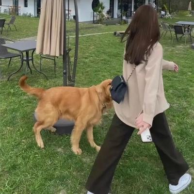 破晓时刻