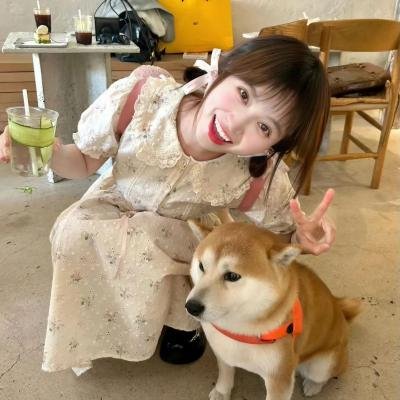 复仇战士
